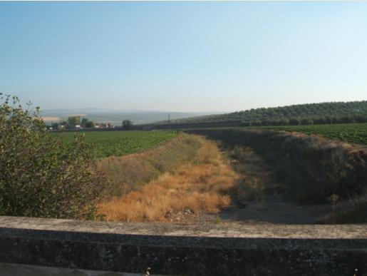 Vista del Baeza-Utiel desde el Pte. tranvía-carretera.JPG