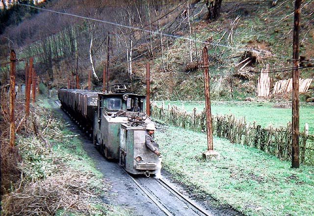 Cerezal.jpg (139.46 KiB) Visto 15181 veces Cerezal.jpg